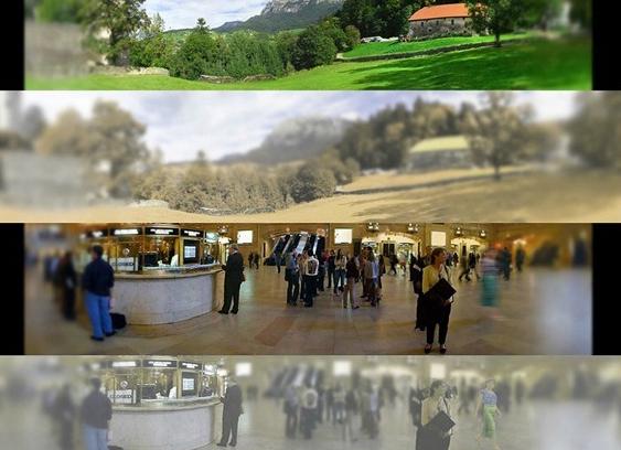 Как кошки видят наш мир? 10 особенностей зрения животных