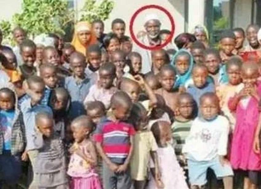 Как привести в дом еще одну кошку, чтобы не возник конфликт. Несколько способов, которые мне известны