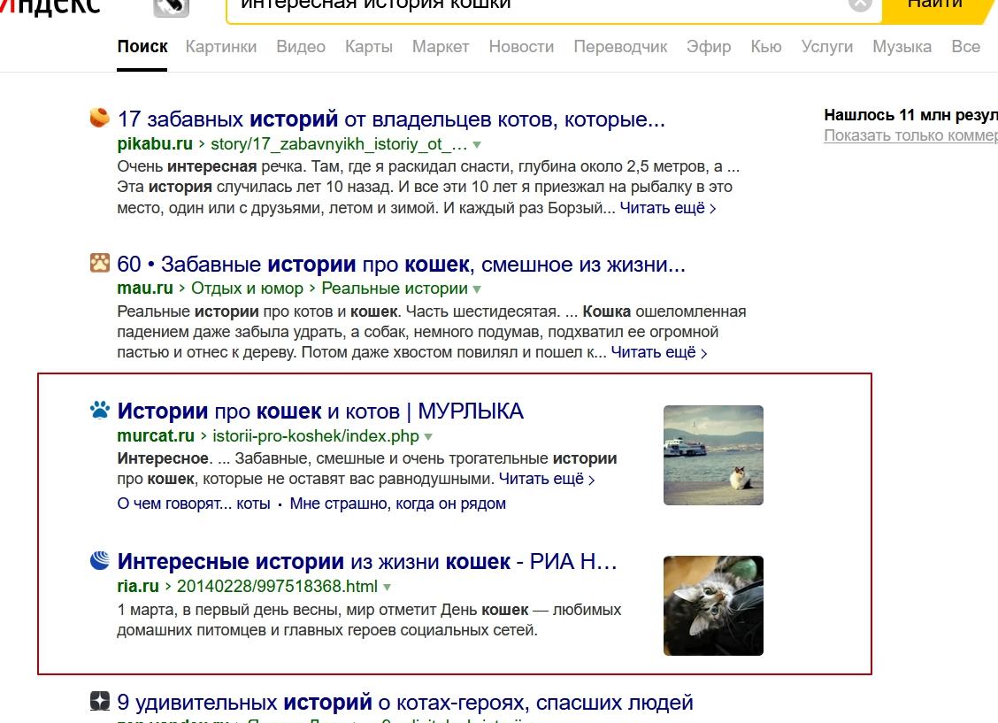 9 удивительных историй о котах-героях, спасших людей