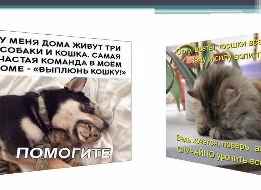 У меня дома живут три кота, которых зовут Атос, Портос и Арамис...