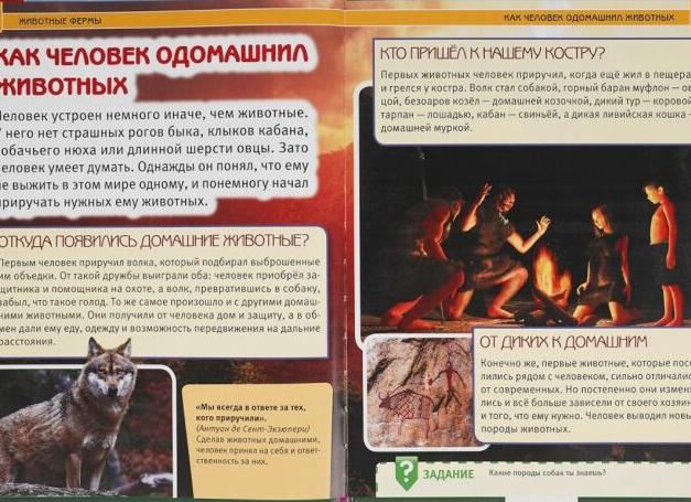 Домашние кошки более дикие, чем мы думаем?