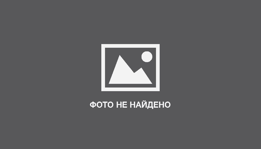 Как выбрать домик для кота?