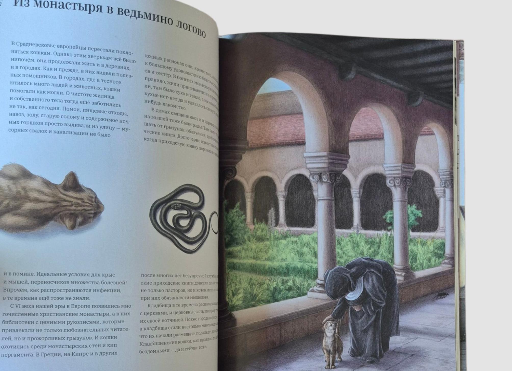 Правда ли, что кошки, которые не выходят из дома, несчастны?