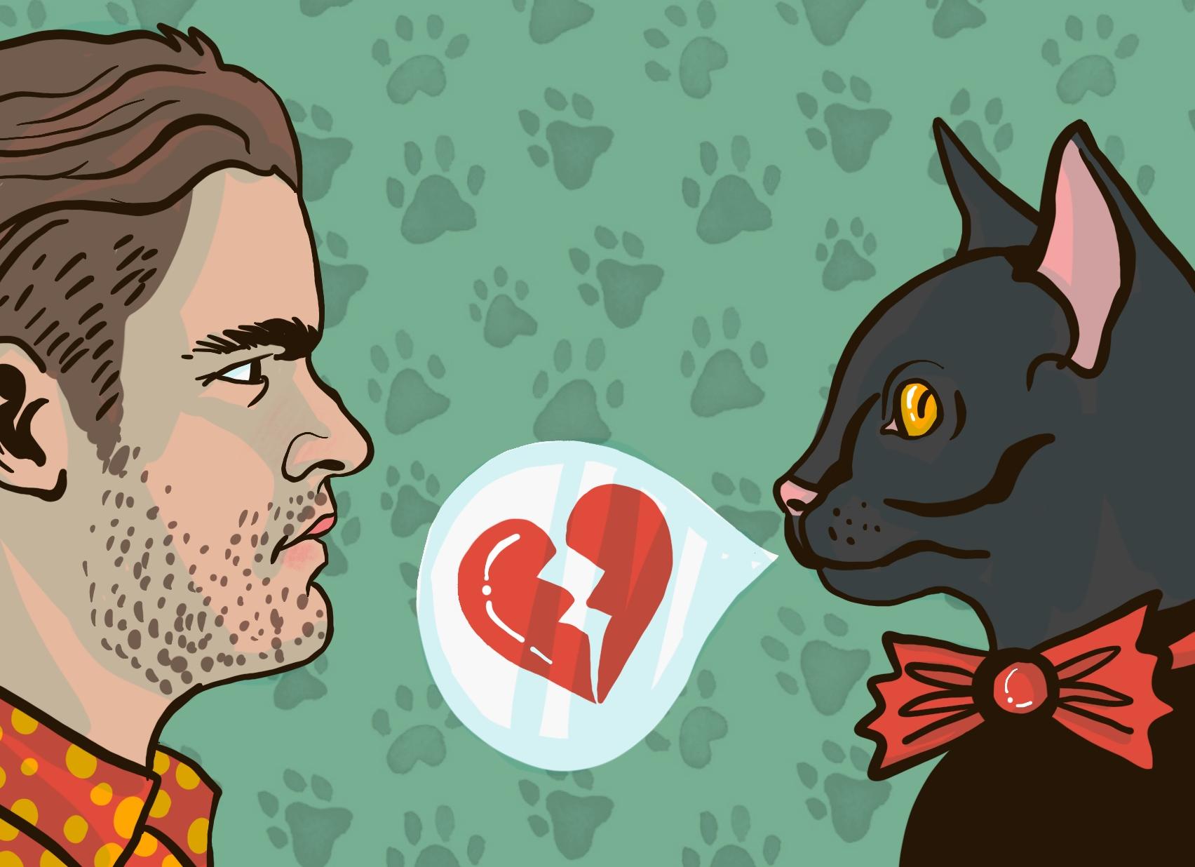 Как отучить кошку гадить в неположенном месте?