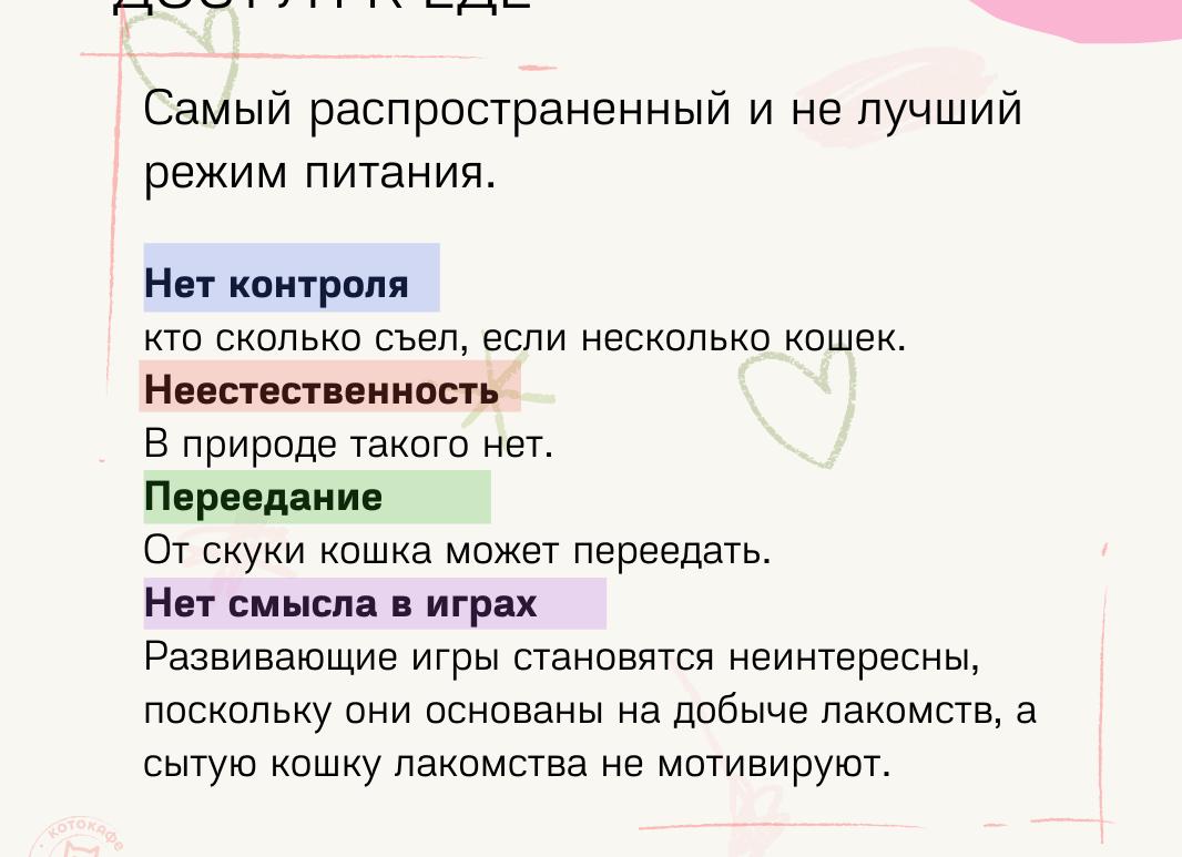 Как правильно кормить котят