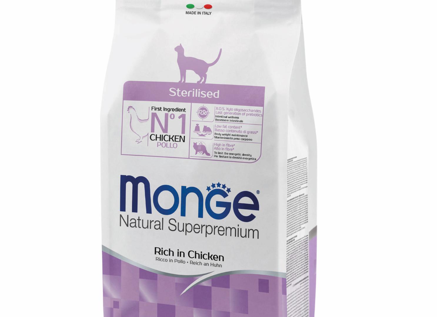 История Ричи: из вислоухого котенка в крупного кота, похожего на мейн-куна