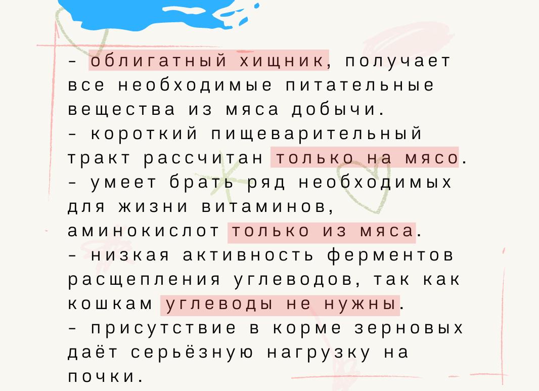 Как выбрать кошачий корм