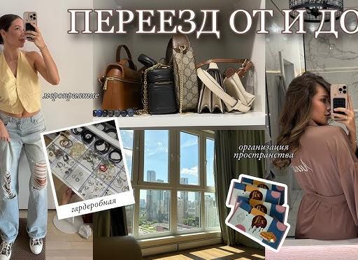 Переезд в новый дом. Как организовать, чтобы не травмировать психику ваших кошек